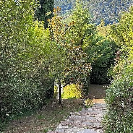 El Jardin De Magnolias