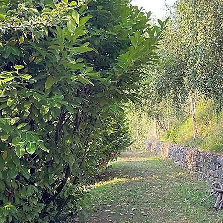 El Jardin De Magnolias