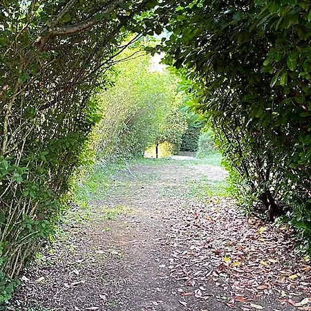 El Jardin De Magnolias Lavín