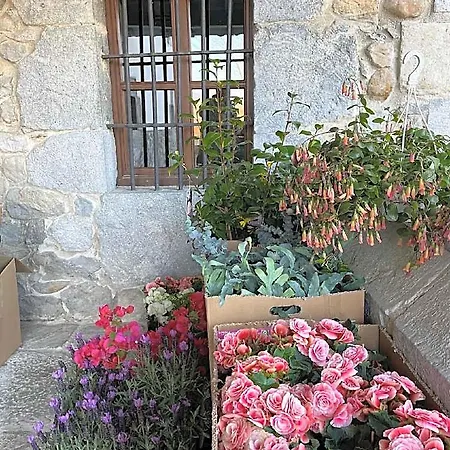 El Jardin De Magnolias